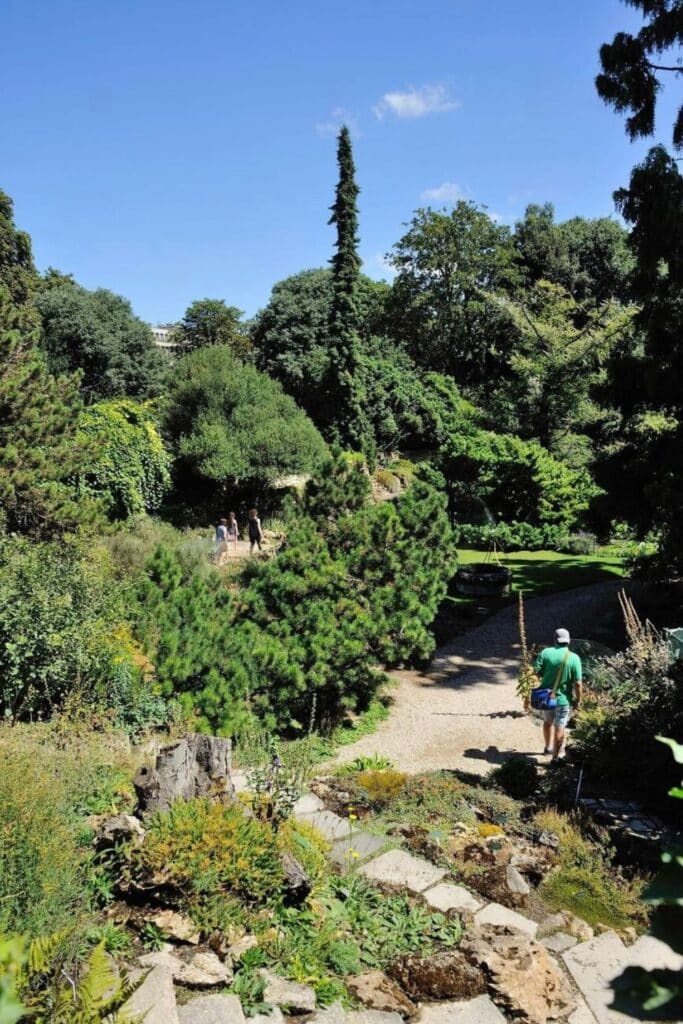 Lush greenery and winding pathways in Jardin Alpin, a tranquil alpine garden tucked inside the Jardin des Plantes, one of the hidden gems in Paris perfect for a quiet escape from the city.