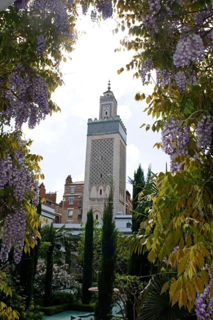 The stunning minaret of the Grand Mosque of Paris framed by lush wisteria and a secret garden, one of the hidden gems in Paris known for its peaceful courtyard and beautiful Moorish architecture.
