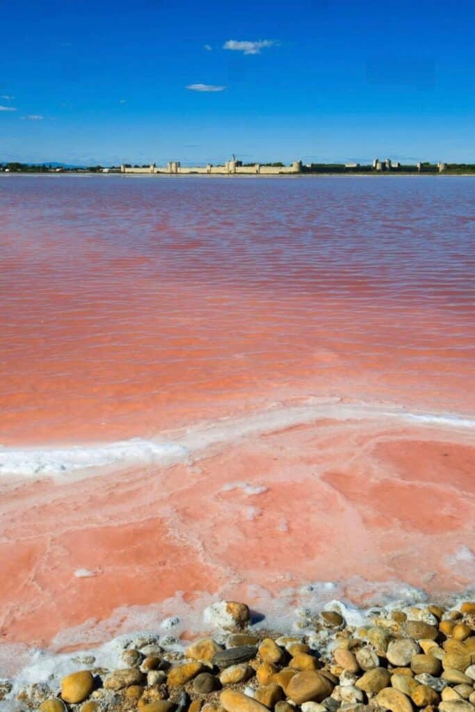 Visiting the stunning pink salt flats of Aigues-Mortes, with their surreal hues and historic fortress backdrop, is one of the most unique things to do in Occitanie France.