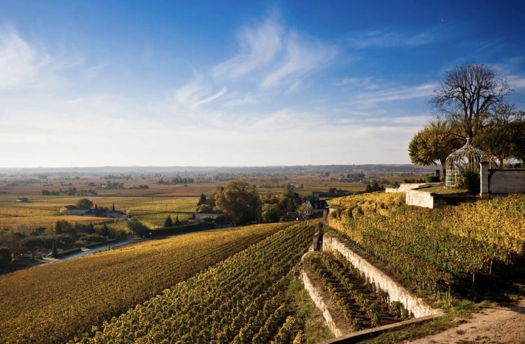 A picturesque view of the golden vineyards of Saint-Émilion under a clear winter sky, embodying the serene beauty of Bordeaux in the Winter.
