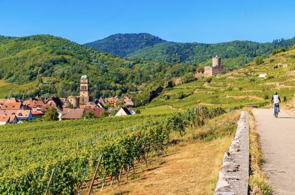 A picturesque view of the Alsace wine route in France, featuring lush vineyard slopes under a clear blue sky. A cyclist enjoys the serene path adjacent to rows of grapevines, with a quaint village and its prominent bell tower in the valley, and ancient ruins of a castle on a nearby hill.
