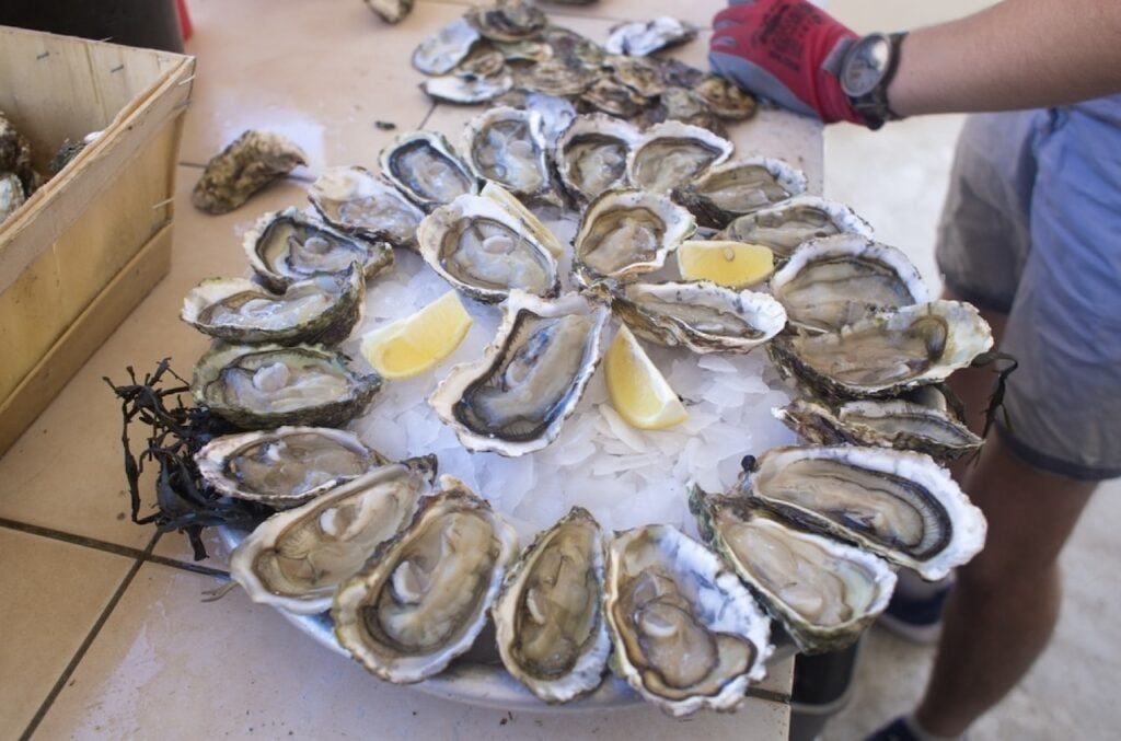 A person in a red glove presents a tray of fresh oysters on ice, garnished with lemon wedges, ready to be enjoyed. The scene captures the essence of a seafood market experience, with a glimpse of the wooden crate and the market atmosphere in the background.