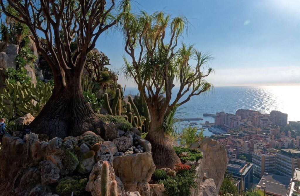 one day in monaco