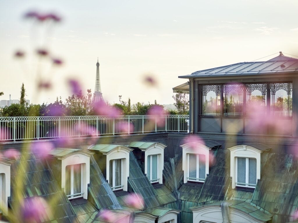 A serene rooftop scene with pink flowers in the foreground and a distant view of the Eiffel Tower, epitomizing the elegance of Paris hotels with Eiffel Tower views.