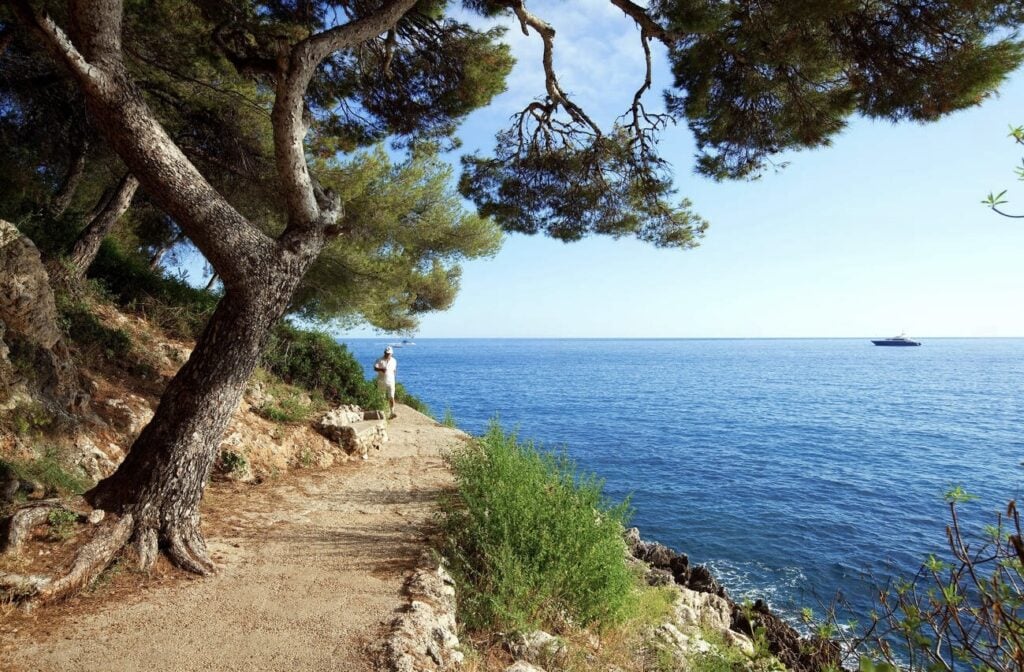 A scenic coastal walking trail lined with pine trees overlooks the sparkling blue sea, offering a peaceful escape—one of the many relaxing things to do in Menton France.
