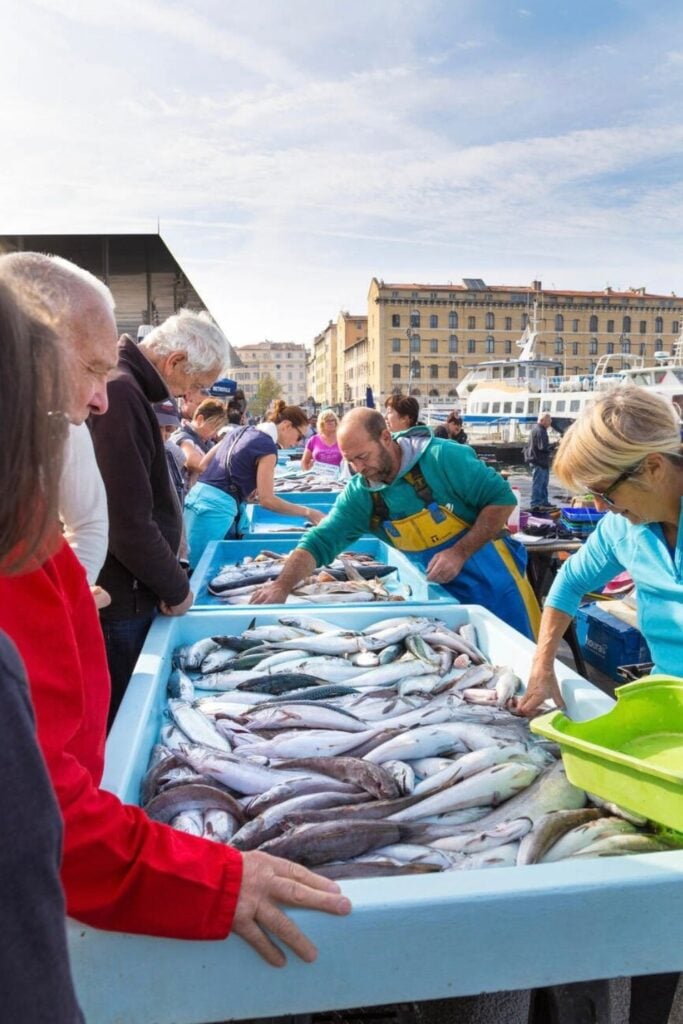 Locals and tourists browse the fresh seafood at Marseille’s famous Vieux-Port fish market, a lively and authentic experience that is one of the top things to do in Marseille France.