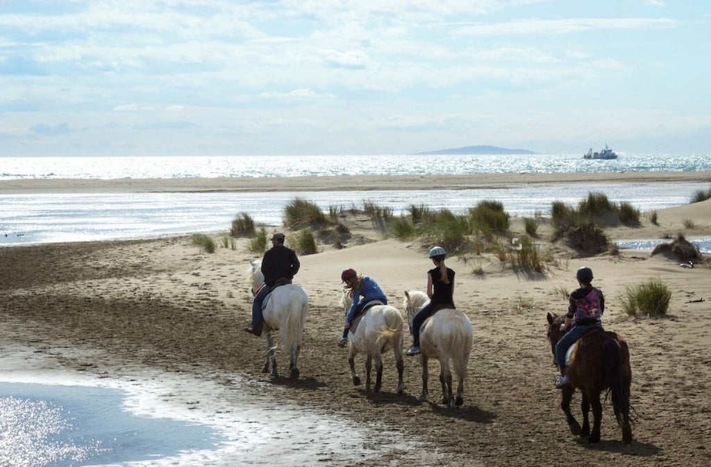 Horseback riding along the scenic sandy beaches near Montpellier is a unique and memorable experience, making it one of the top things to do in Montpellier.