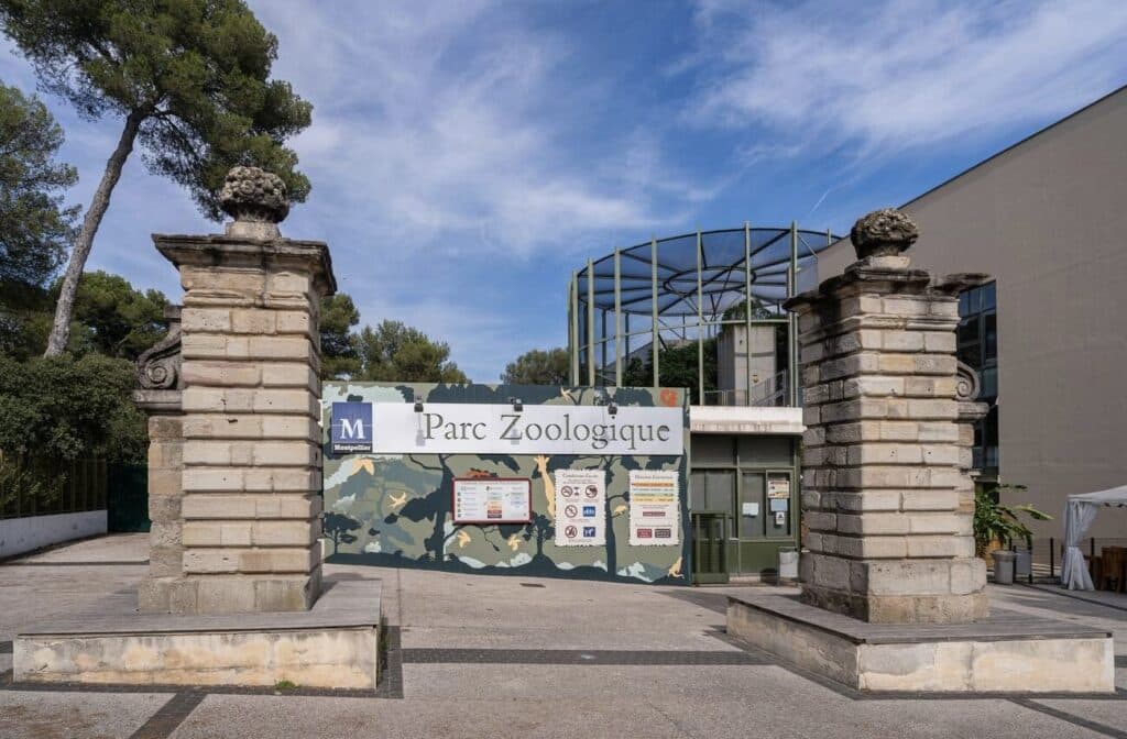 Visiting the Parc Zoologique de Montpellier, home to a variety of wildlife and lush natural surroundings, is one of the best family-friendly things to do in Montpellier.