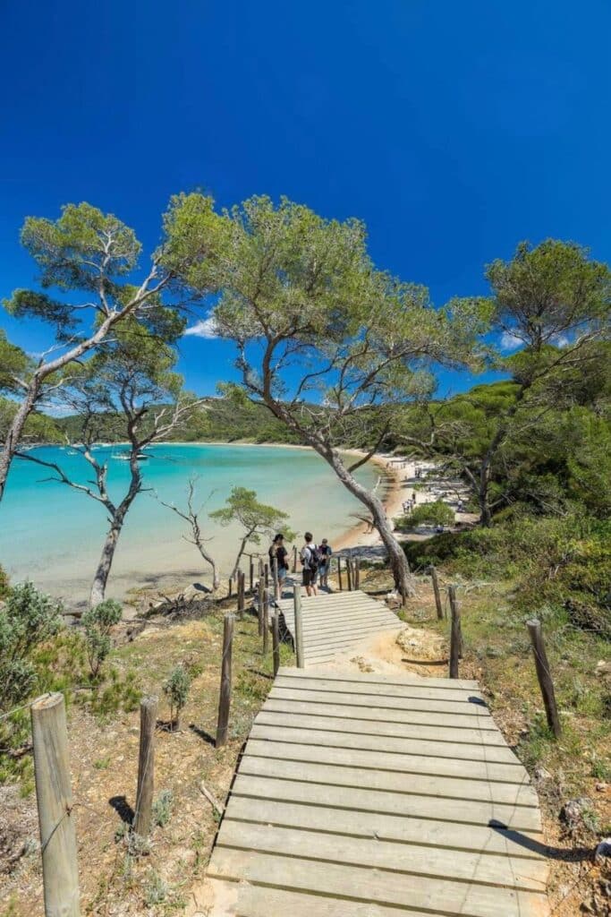 Walking down a scenic wooden path to the pristine beaches of Porquerolles Island is one of the top things to do in Toulon for nature lovers.